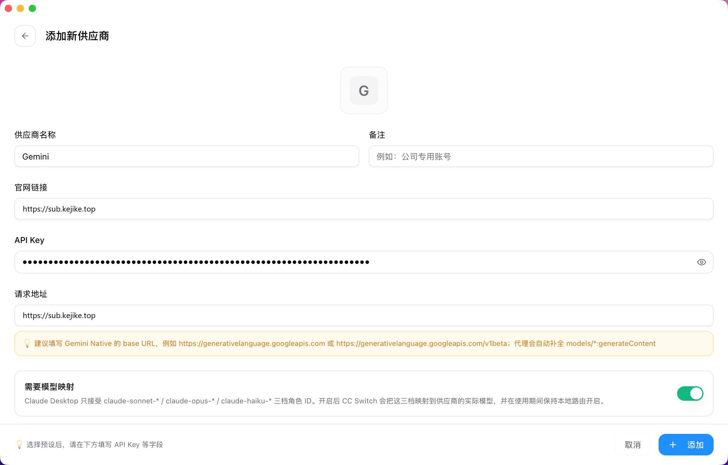 填写 Gemini 供应商信息
