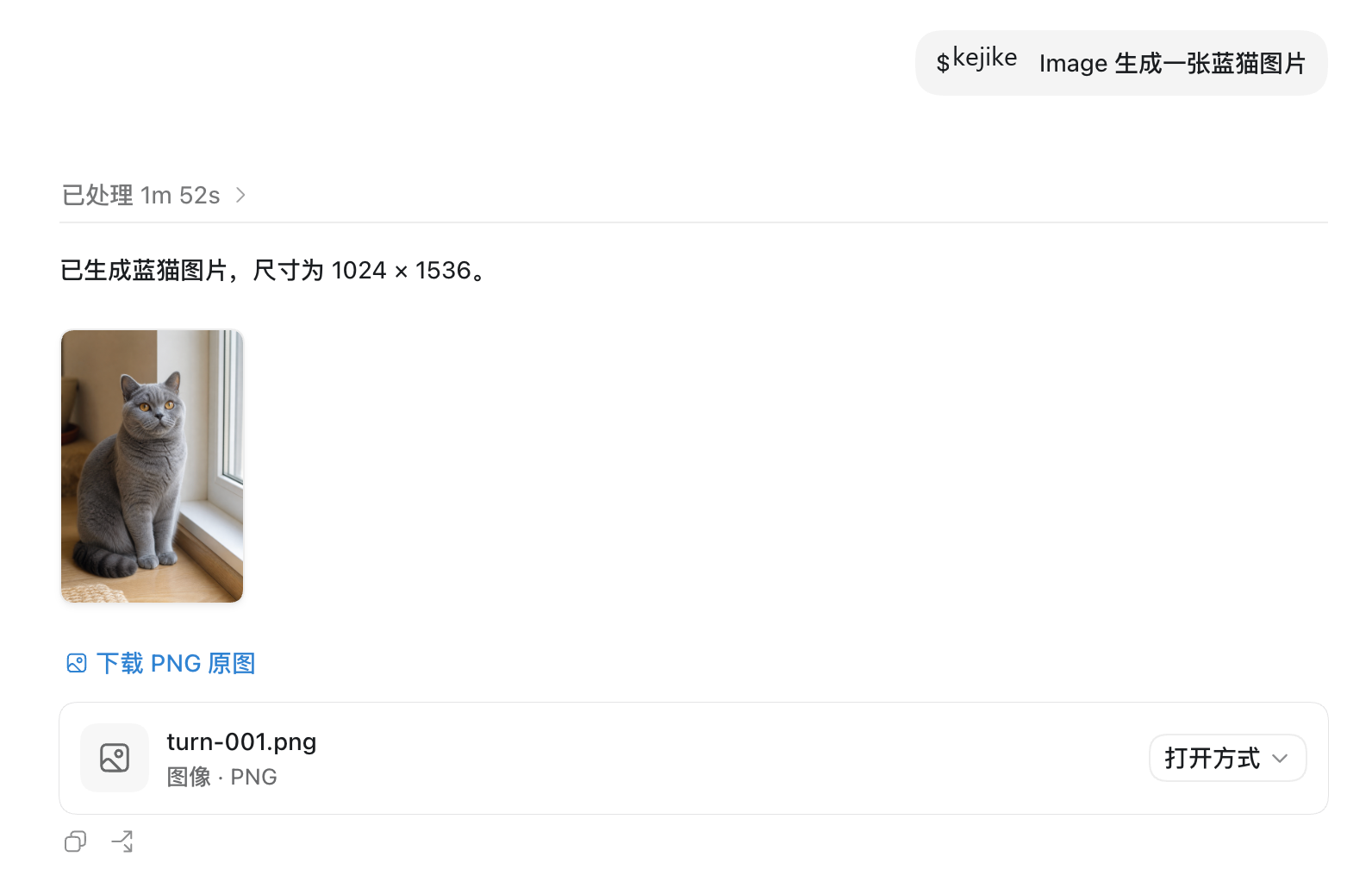 使用 Skill 生图